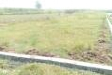 250 Square Yard Plots For Sale At Selaqui Atak Farm, THDC Colony,Dehradun.
